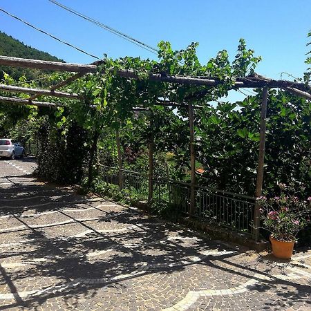 Agriturismo Il Castagno Villa Agerola Dış mekan fotoğraf