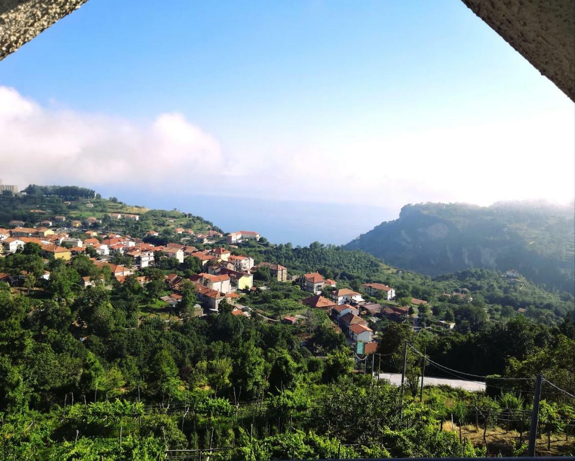 Agriturismo Il Castagno Villa Agerola Dış mekan fotoğraf