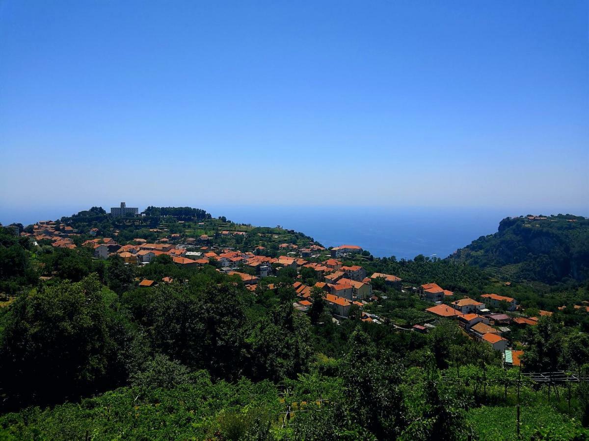 Agriturismo Il Castagno Villa Agerola Dış mekan fotoğraf