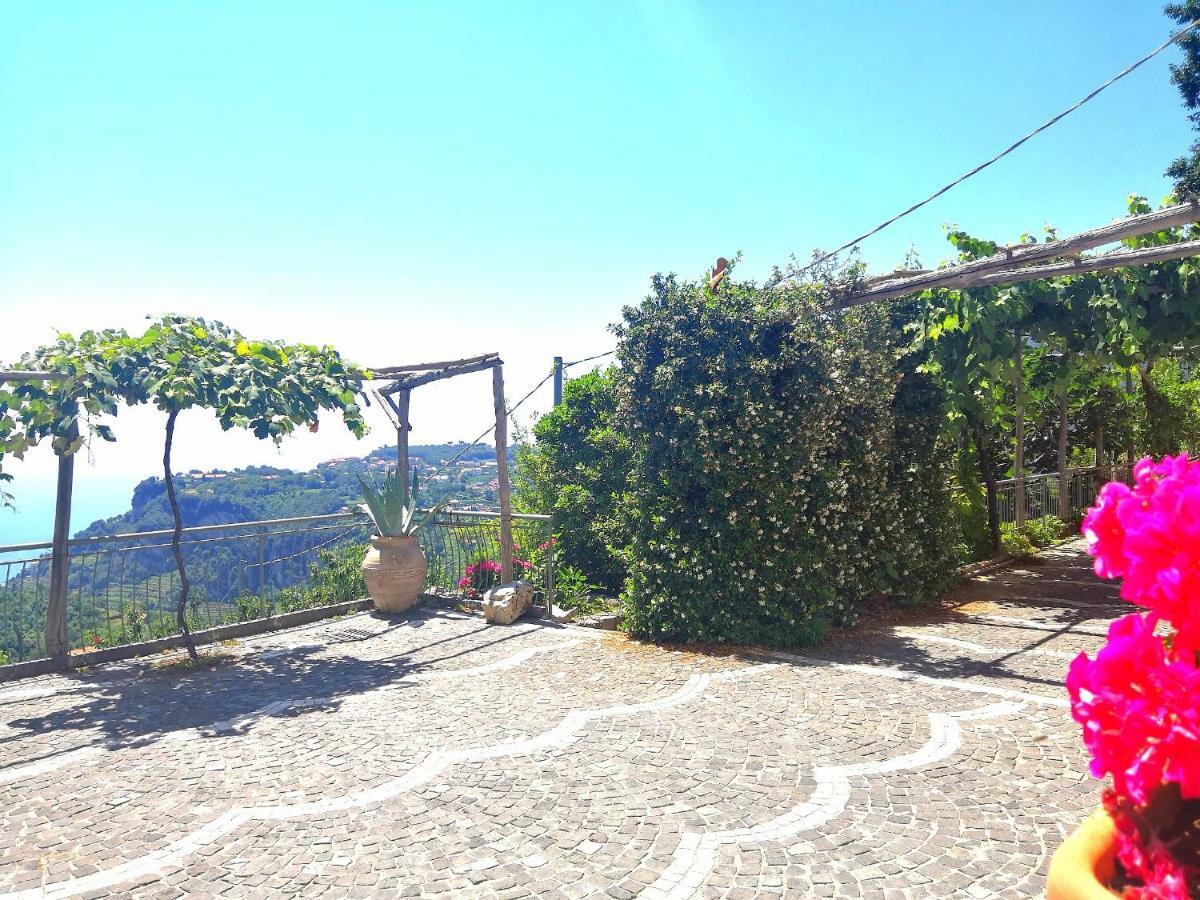 Agriturismo Il Castagno Villa Agerola Dış mekan fotoğraf