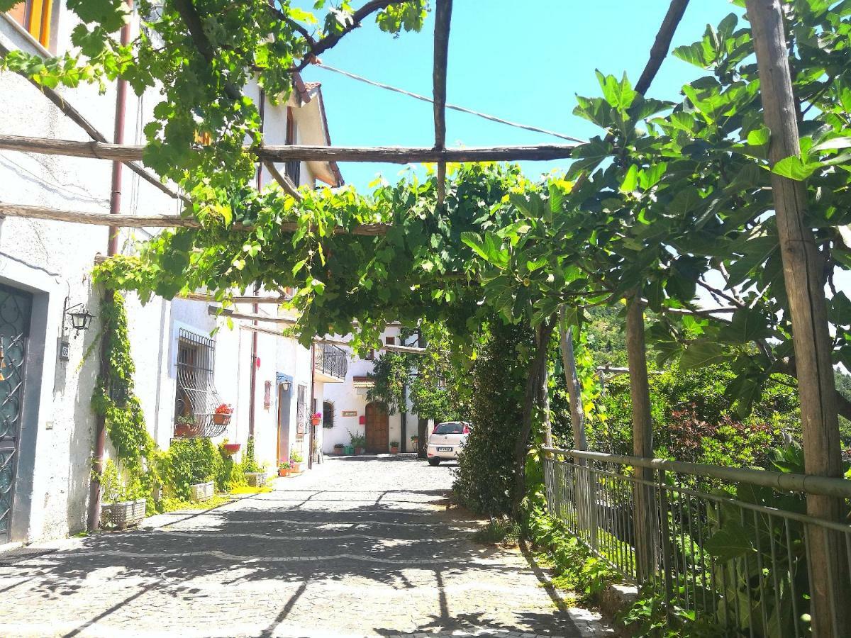 Agriturismo Il Castagno Villa Agerola Dış mekan fotoğraf