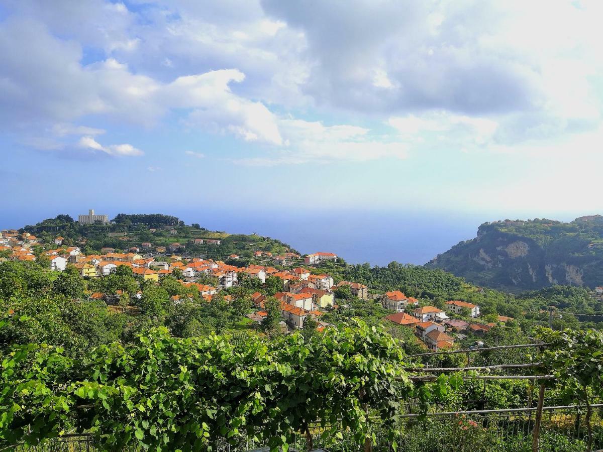 Agriturismo Il Castagno Villa Agerola Dış mekan fotoğraf