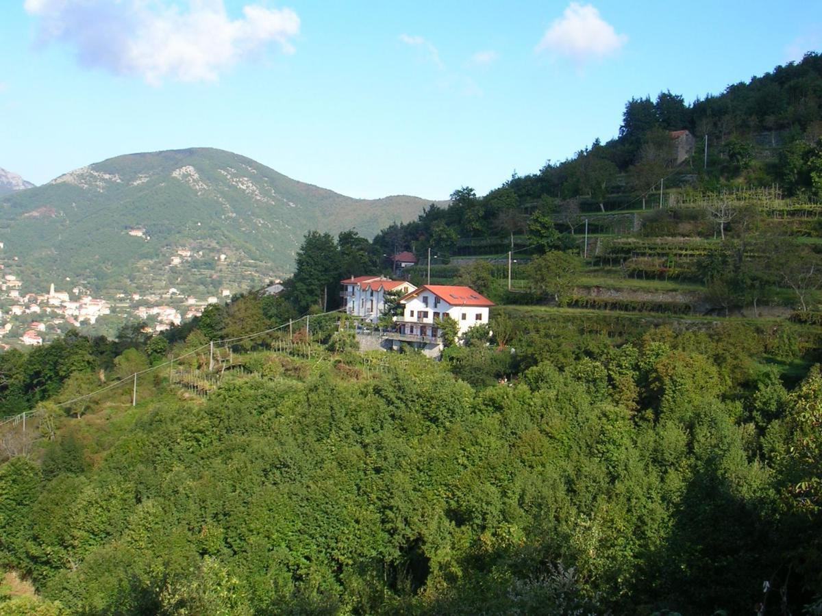 Agriturismo Il Castagno Villa Agerola Dış mekan fotoğraf